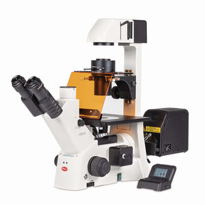 Microscopio invertito per applicazioni avanzate AE31E, trinoculare