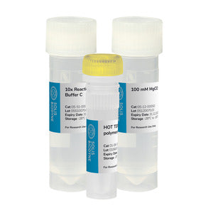 Kit HOT TERMIPol® DNA Polymerase