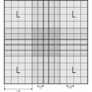 Camera contaglobuli Fuchs Rosenthal