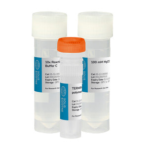 Kit TERMIPol® DNA Polymerase